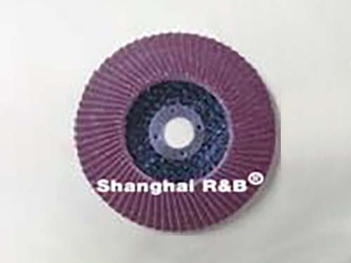 Flap Disc